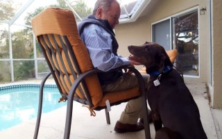 Autoslide Elite iLock K9 Automatic Pet Door