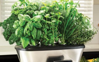 AeroGarden Bounty Elite