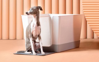 Doggy Bathroom Starter Kit 