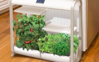 AeroGarden Farm Plus