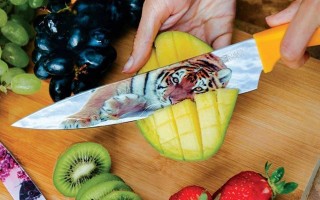 Chefs Vision Knives