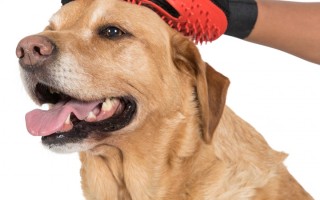 Teddy Dog Grooming Mitts